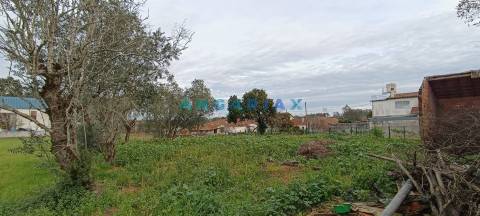 ANG1519 - Moradia T3 para Venda em Bajouca, Leiria