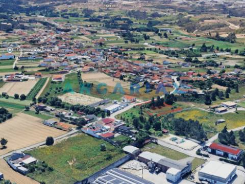 ANG1538 - Terreno para Venda em Regueira de Pontes, Leiria