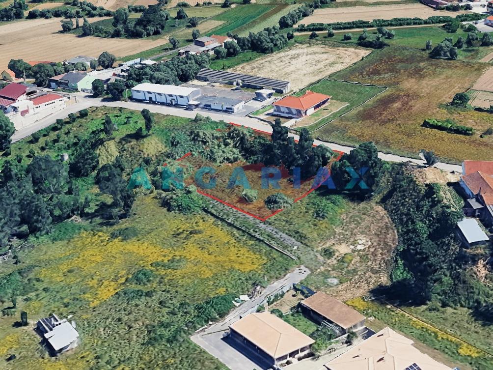 ANG1538 - Terreno para Venda em Regueira de Pontes, Leiria