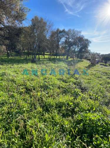 ANG1540 - Terreno para Venda em Alviobeira, Tomar
