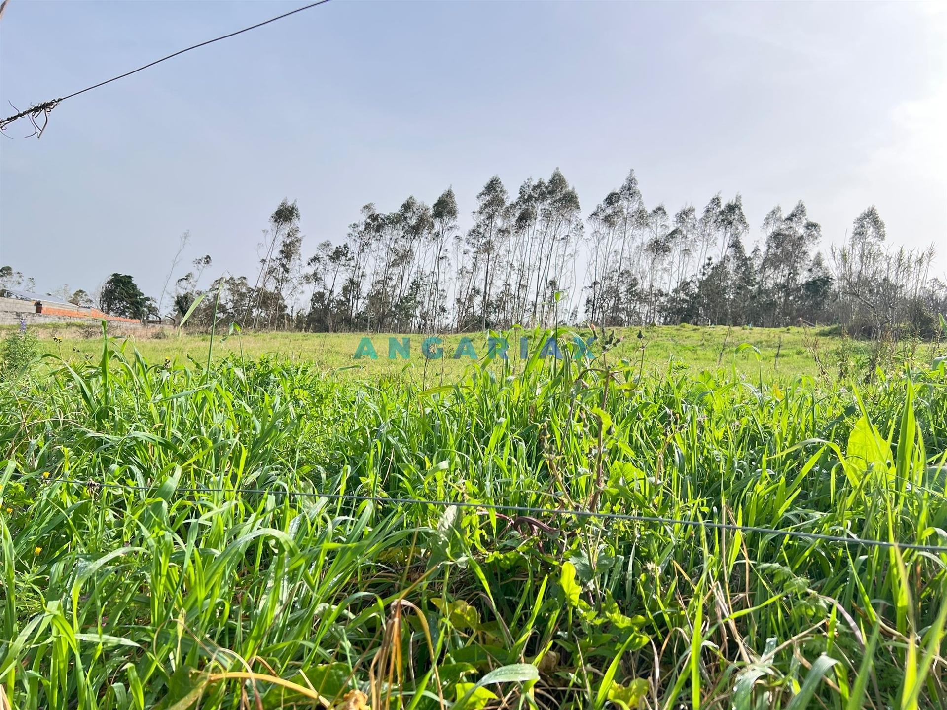 ANG1554 - Terreno para Venda em Leiria