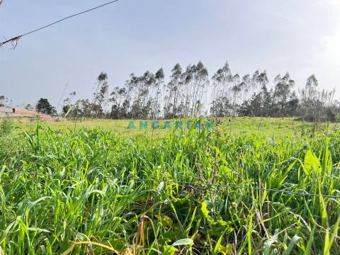 ANG1554 - Terreno para Venda em Leiria