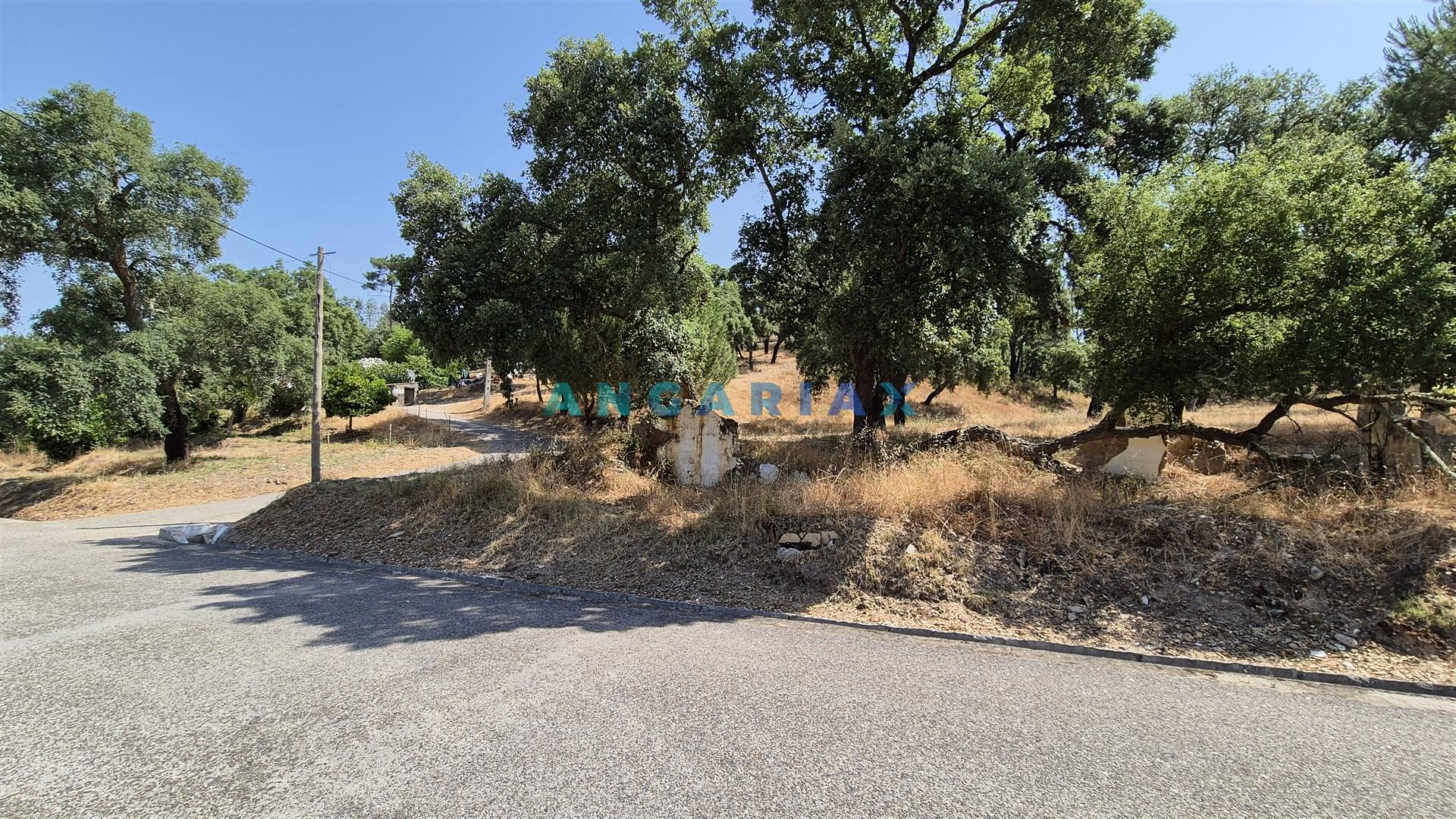 ANG1558 - Terreno para Venda em Bemposta, Abrantes