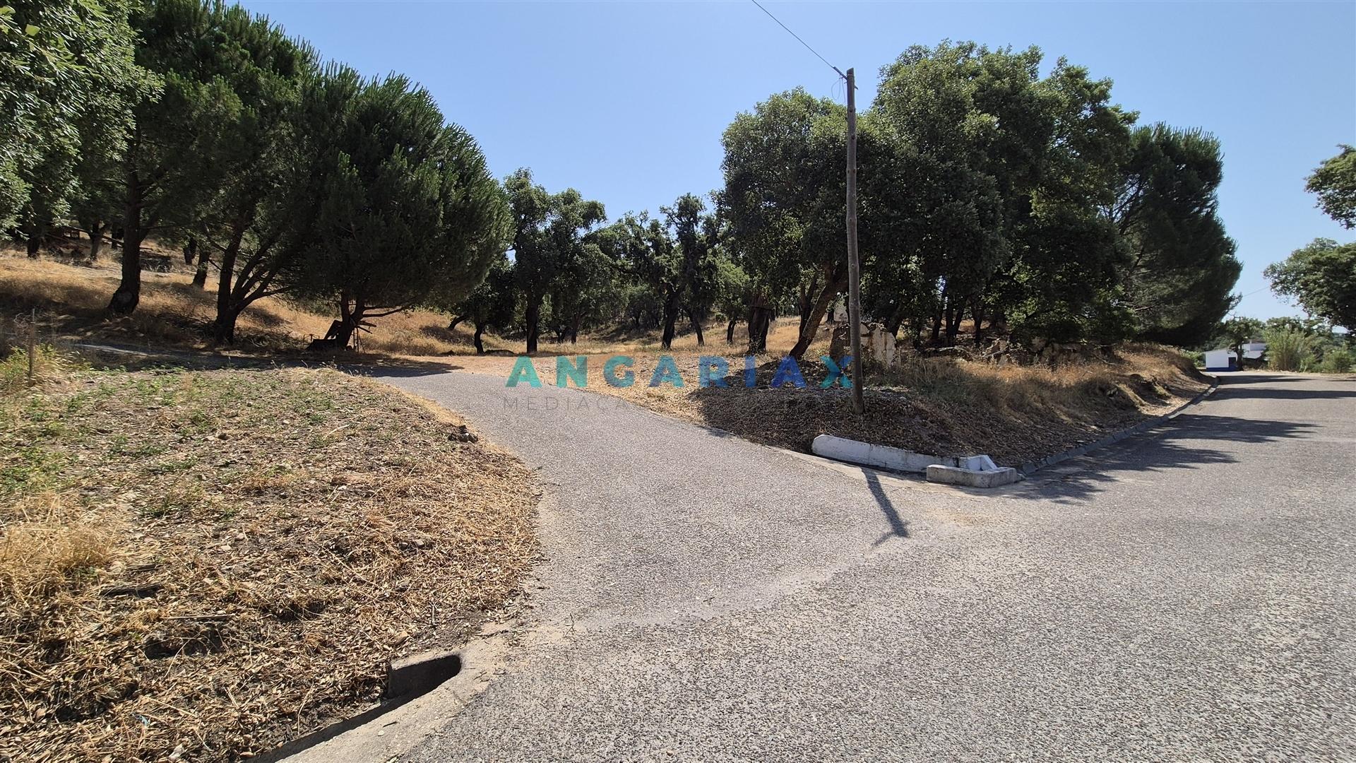 ANG1558 - Terreno para Venda em Bemposta, Abrantes