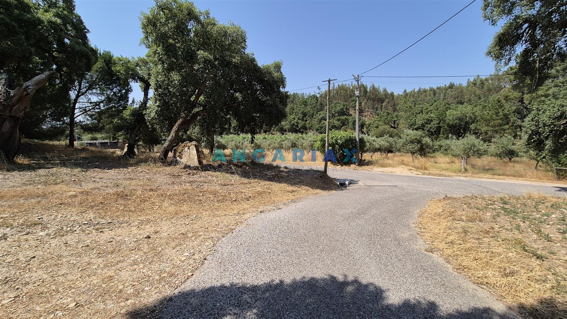 ANG1558 - Terreno para Venda em Bemposta, Abrantes