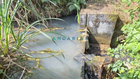 ANG1558 - Terreno para Venda em Bemposta, Abrantes