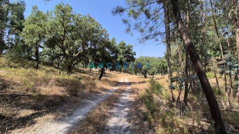 ANG1558 - Terreno para Venda em Bemposta, Abrantes