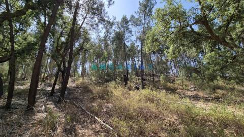 ANG1558 - Terreno para Venda em Bemposta, Abrantes