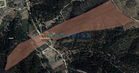 ANG1558 - Terreno para Venda em Bemposta, Abrantes