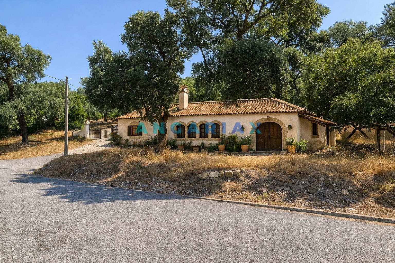 ANG1558 - Terreno para Venda em Bemposta, Abrantes