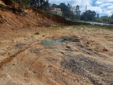 ANG1559 - Terreno para Venda em Pelariga, Pombal