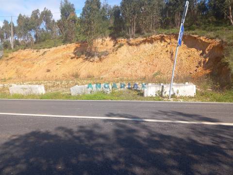 ANG1559 - Terreno para Venda em Pelariga, Pombal