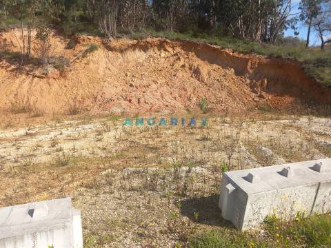ANG1559 - Terreno para Venda em Pelariga, Pombal
