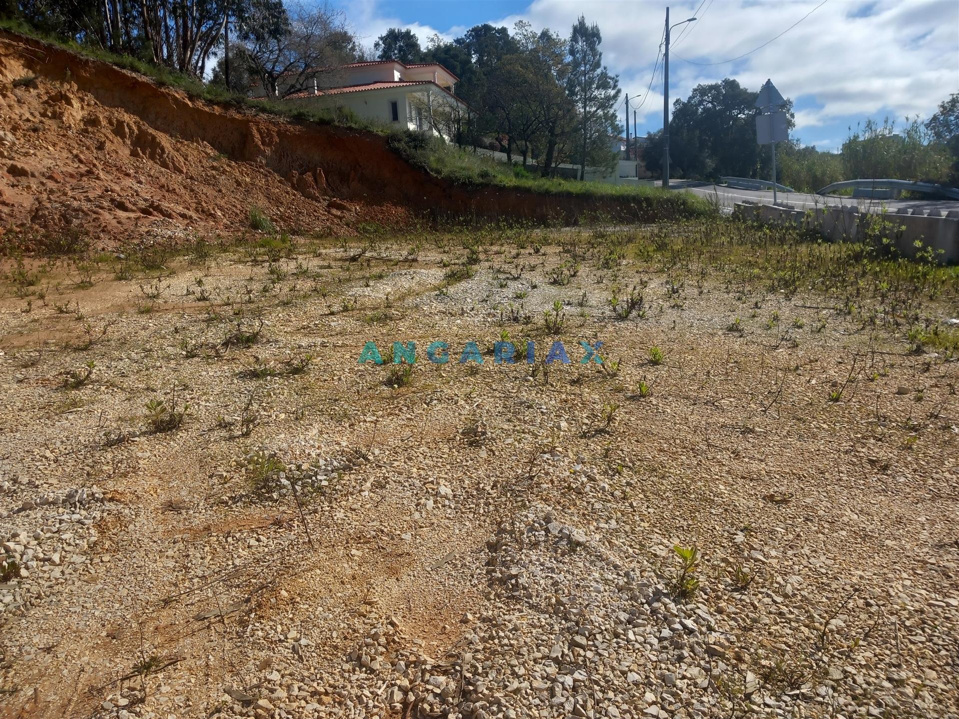 ANG1559 - Terreno para Venda em Pelariga, Pombal