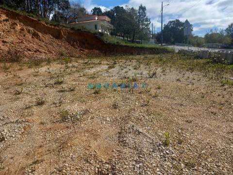 ANG1559 - Terreno para Venda em Pelariga, Pombal