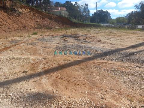 ANG1559 - Terreno para Venda em Pelariga, Pombal