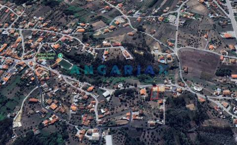 ANG1559 - Terreno para Venda em Pelariga, Pombal