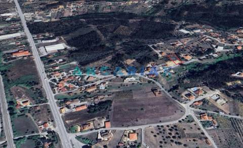 ANG1559 - Terreno para Venda em Pelariga, Pombal