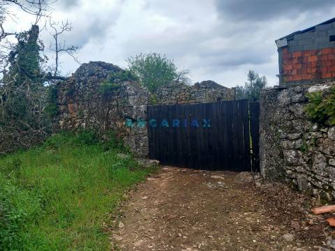 ANG1560 - Quinta para Venda em Santiago da Guarda, Ansião