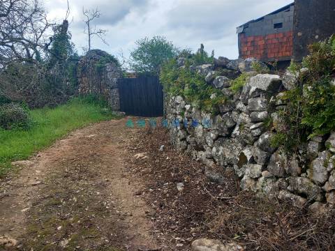 ANG1560 - Quinta para Venda em Santiago da Guarda, Ansião