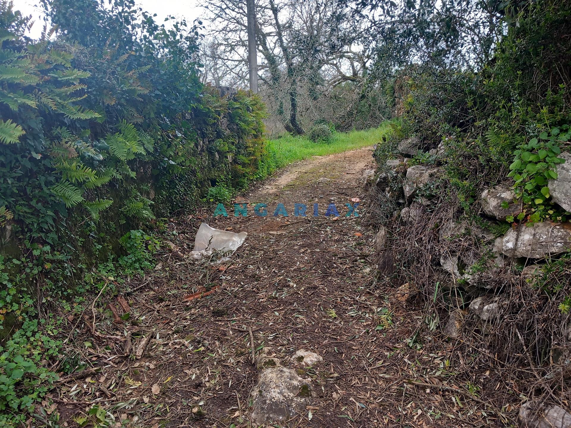 ANG1560 - Quinta para Venda em Santiago da Guarda, Ansião