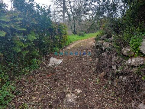 ANG1560 - Quinta para Venda em Santiago da Guarda, Ansião