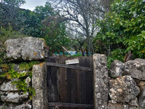 ANG1560 - Quinta para Venda em Santiago da Guarda, Ansião