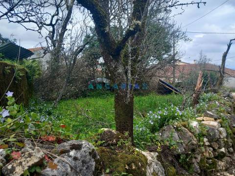 ANG1560 - Quinta para Venda em Santiago da Guarda, Ansião
