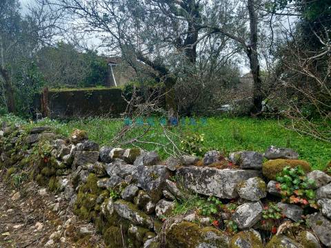 ANG1560 - Quinta para Venda em Santiago da Guarda, Ansião