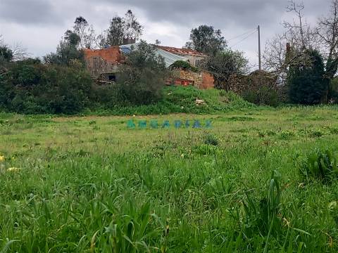 ANG1560 - Quinta para Venda em Santiago da Guarda, Ansião