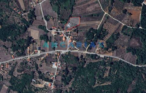 ANG1560 - Quinta para Venda em Santiago da Guarda, Ansião