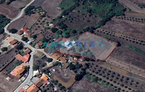 ANG1560 - Quinta para Venda em Santiago da Guarda, Ansião
