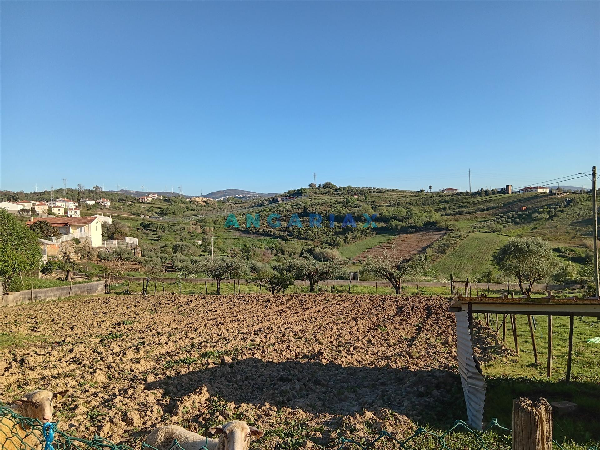 ANG1567 - Terreno para Venda em Batalha, Leiria