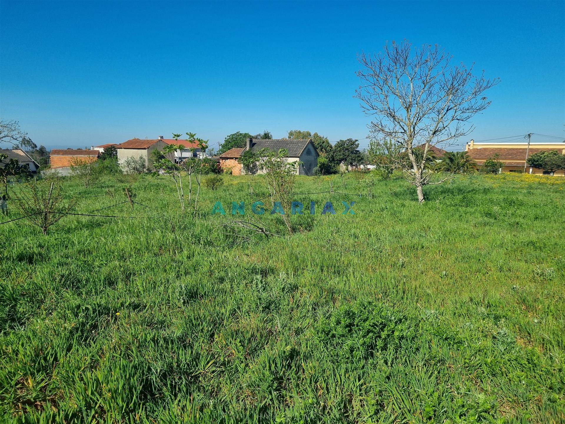 ANG1569 - Terreno para Venda em Colmeias, Leiria