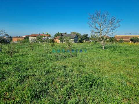 ANG1569 - Terreno para Venda em Colmeias, Leiria