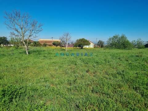 ANG1569 - Terreno para Venda em Colmeias, Leiria