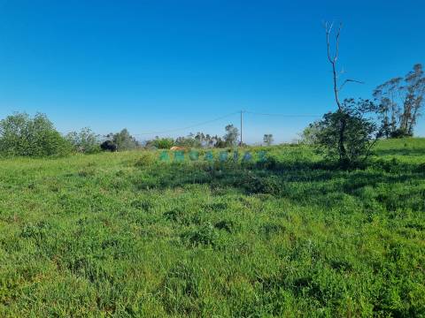 ANG1569 - Terreno para Venda em Colmeias, Leiria