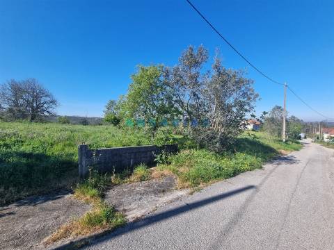 ANG1569 - Terreno para Venda em Colmeias, Leiria