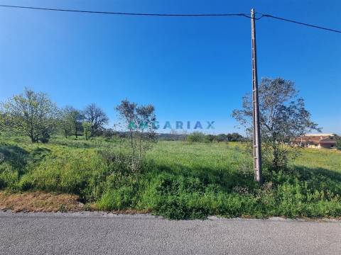 ANG1569 - Terreno para Venda em Colmeias, Leiria