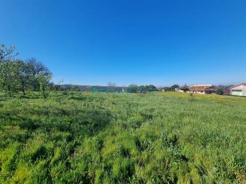 ANG1569 - Terreno para Venda em Colmeias, Leiria