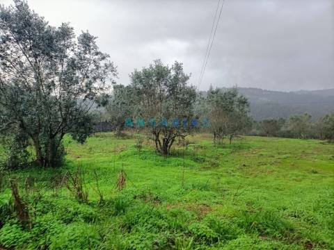 ANG1576 - Terreno para Venda em Santa Catarina da Serra