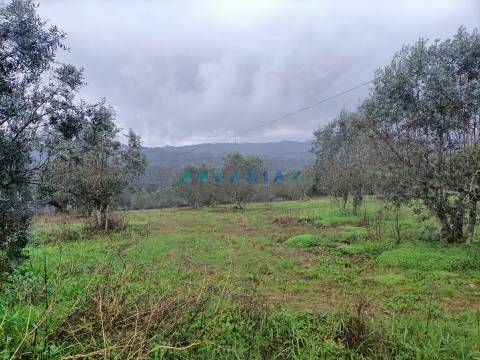 ANG1576 - Terreno para Venda em Santa Catarina da Serra
