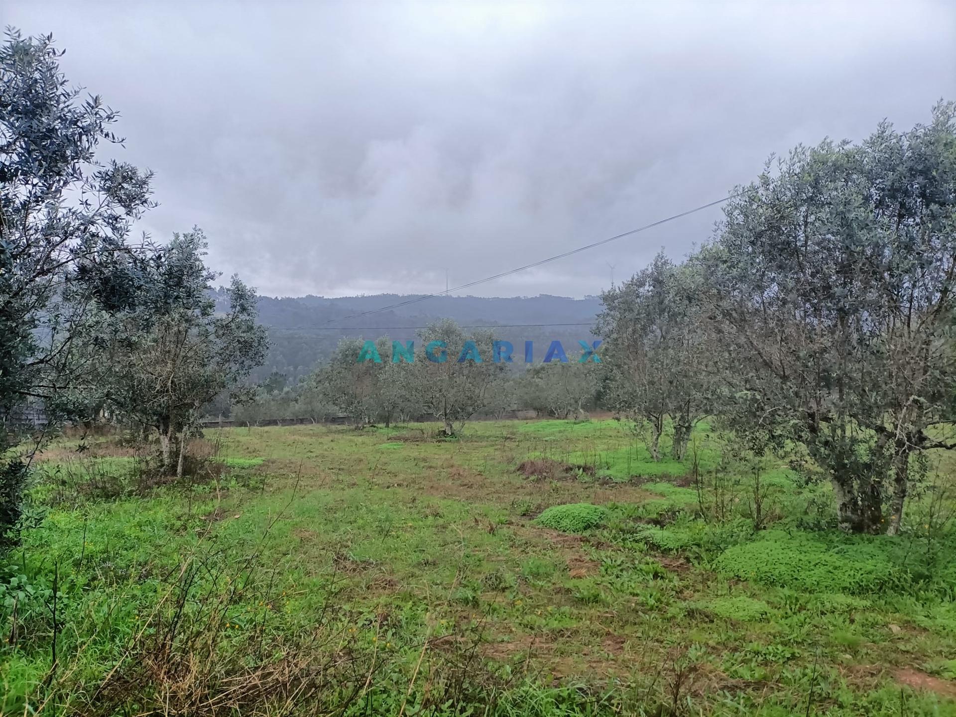 ANG1576 - Terreno para Venda em Santa Catarina da Serra