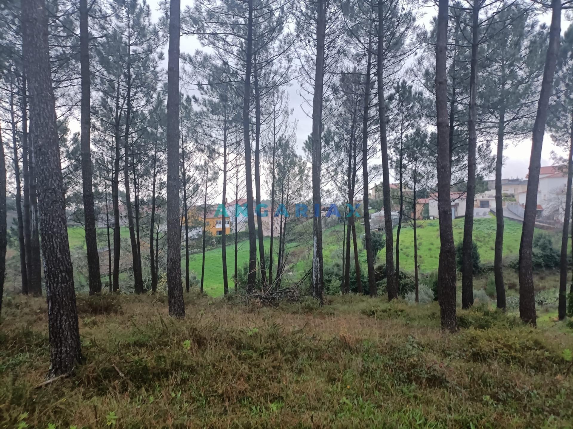 ANG1577 - Terreno para Venda em Santa Catarina da Serra
