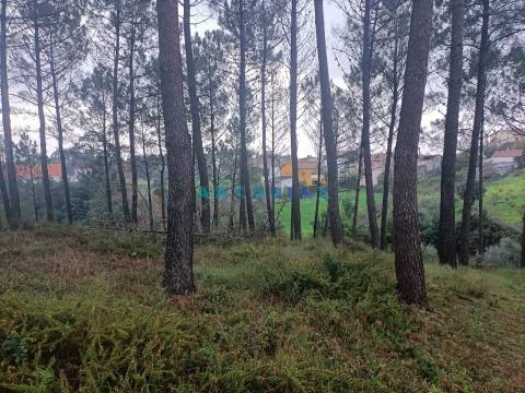 ANG1577 - Terreno para Venda em Santa Catarina da Serra