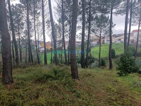 ANG1577 - Terreno para Venda em Santa Catarina da Serra