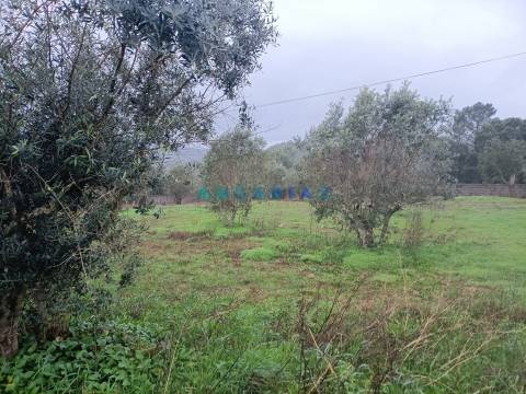 ANG1577 - Terreno para Venda em Santa Catarina da Serra