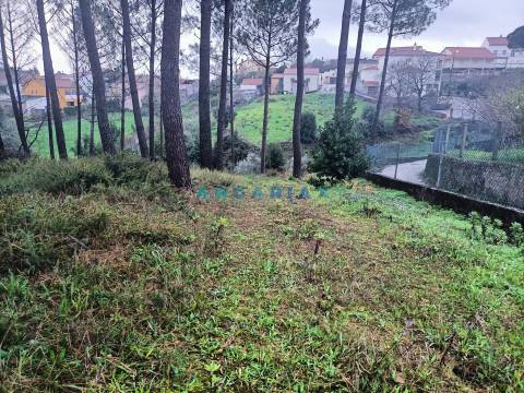 ANG1577 - Terreno para Venda em Santa Catarina da Serra