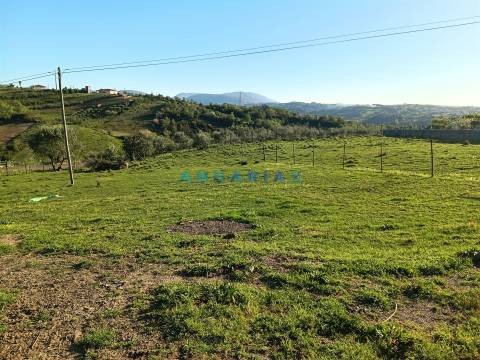 ANG1584 - Terreno para Venda em Batalha, Leiria