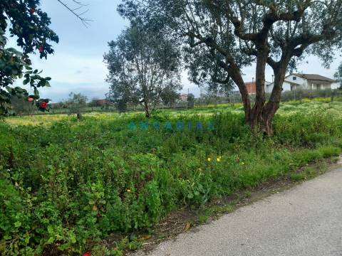 ANG1601 - Terreno para Venda em Vermoil, Pombal